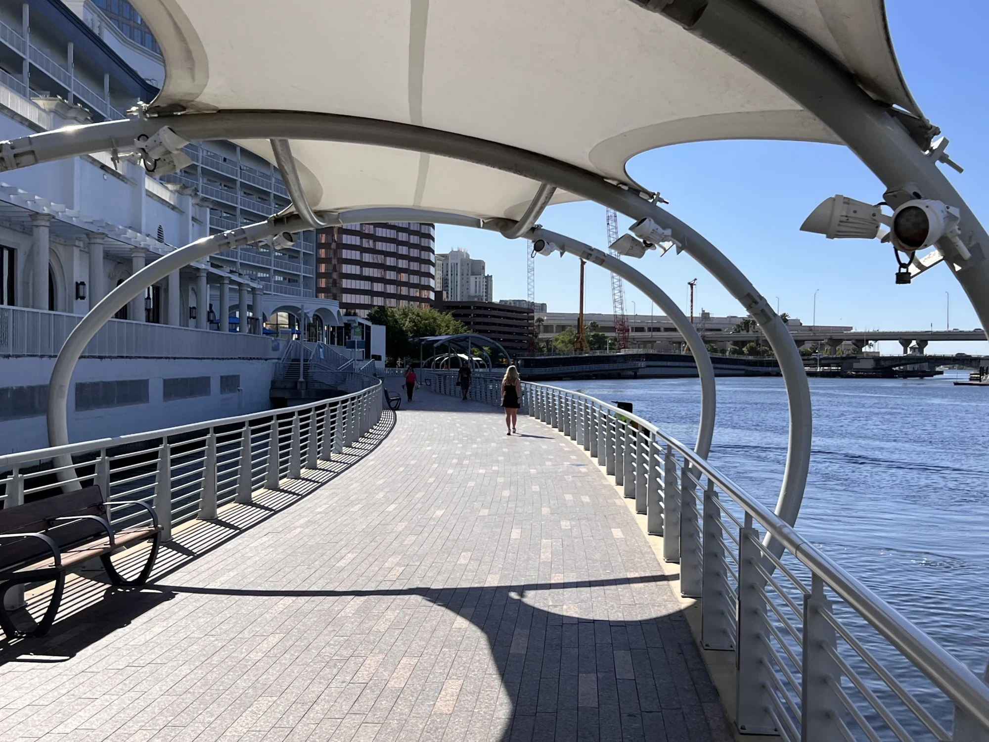 A landscaped walkway beside the Hillsborough River in downtown Tampa